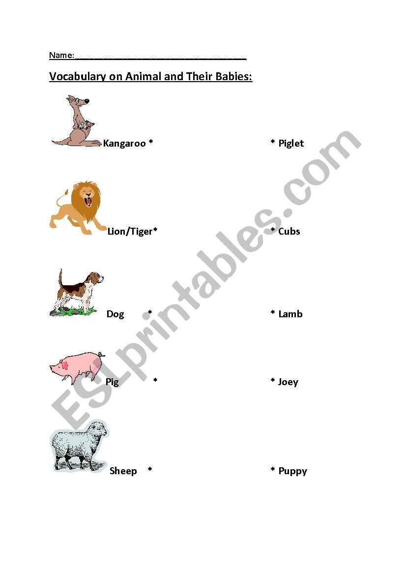 animal and their babies worksheet