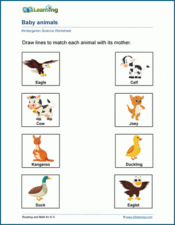 animal baby worksheet