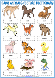 animal baby worksheet