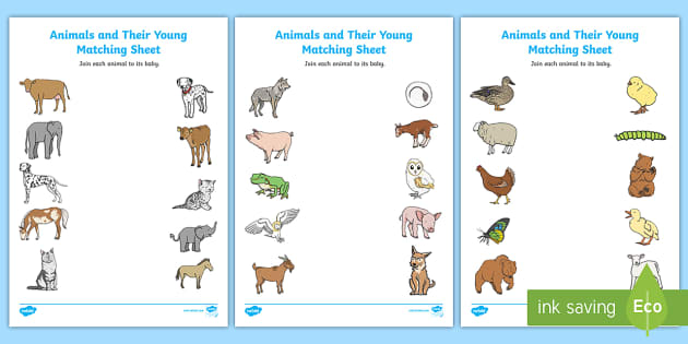 animal baby worksheet