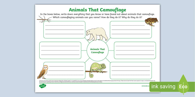 Animals That Camouflage Mind Map (teacher made) - Twinkl