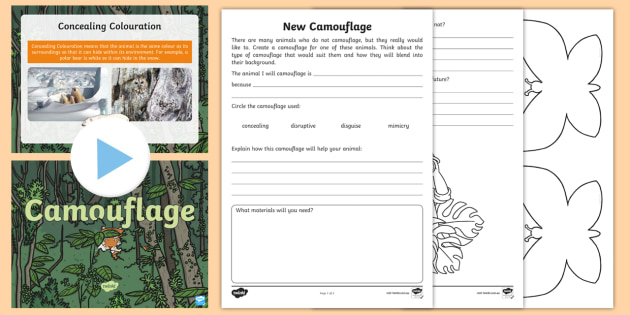 Camouflage Adaptation STEM Activity Pack (teacher made)