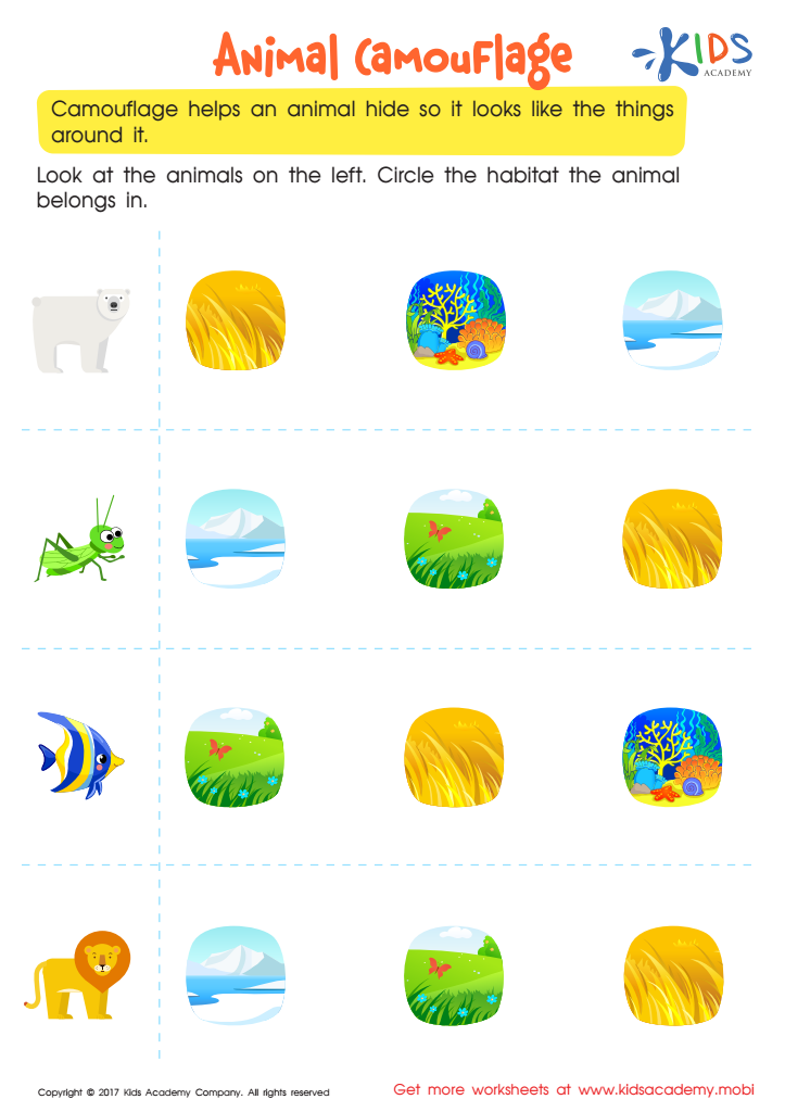 animal camouflage worksheet