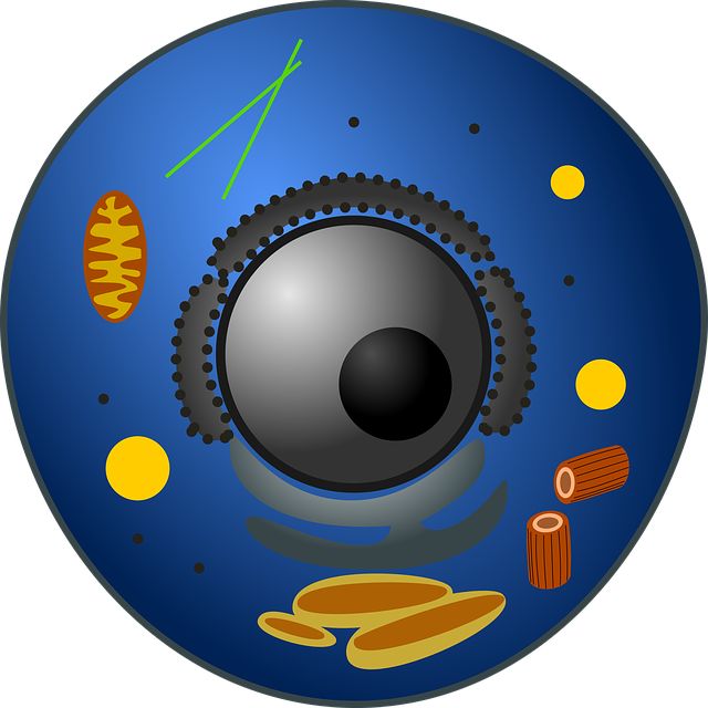 The Complete Guide to Animal Cells · PrepScholar