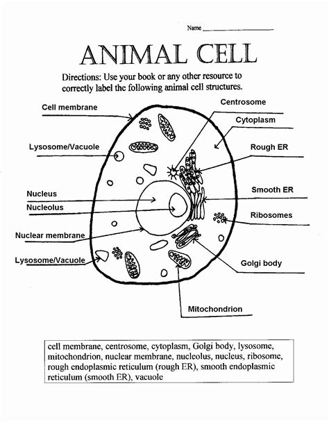 Cell Labeling Worksheet