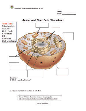 animal cell worksheet answers
