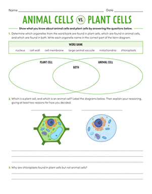 Animal and Plant Cells | Worksheet | Education.com - Worksheets Library