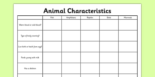 animal characteristics worksheet