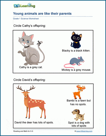 Animals and Inherited Traits Worksheet | Worsheets library