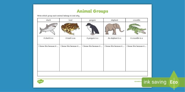 animal characteristics worksheet