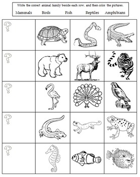 Animal Classification Worksheet by The Science Fix worksheets library