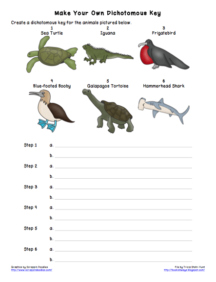 animal dichotomous key worksheet