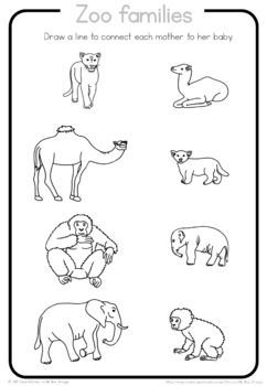 Zoo Animal Families Worksheet