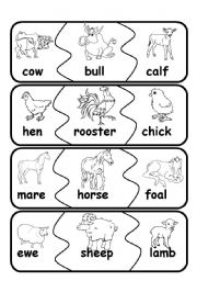 animal families1 - ESL worksheet by fleur