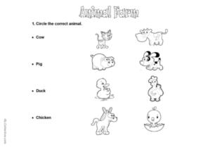 animal farm worksheet
