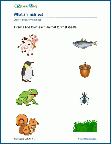 animal food worksheet