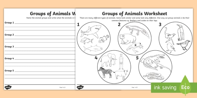 animal grouping worksheet