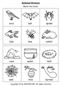 animal habitat worksheet for 2nd grade