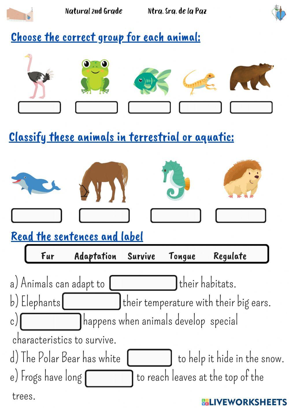 Animal Habitats Interactive Activity For 2 Live Worksheets Animal Habitats Interactive Activity For 2 Live Worksheets