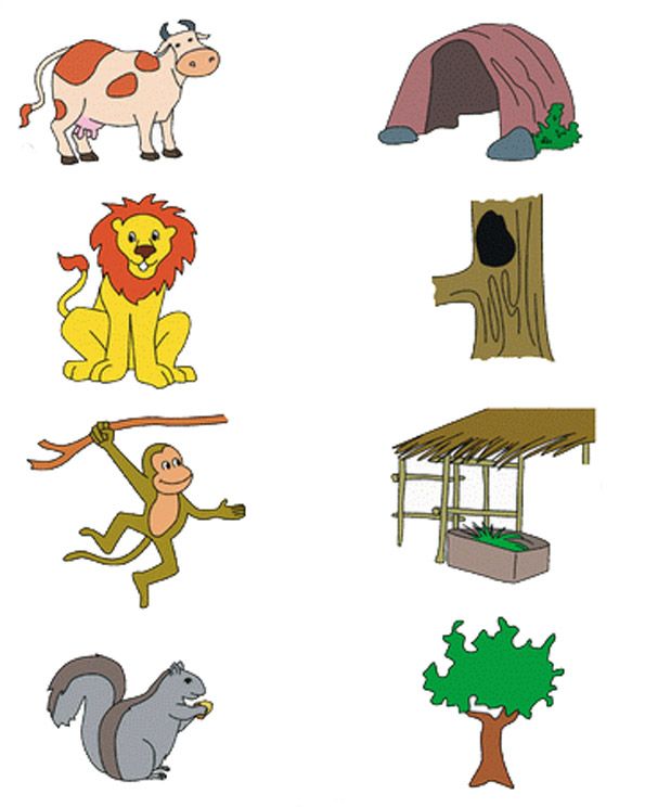 animal habitat worksheet for kids (2) | Crafts and Worksheets for ...