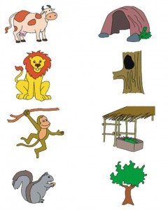 animal habitats worksheet for kindergarten