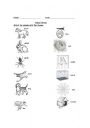 animal home worksheet
