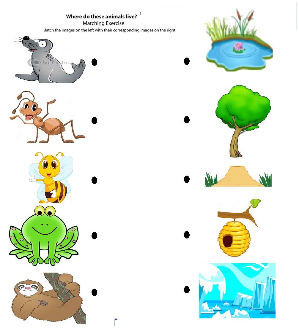 animal home worksheet
