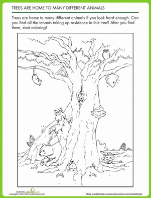 Animal Homes in Trees | Worksheet 