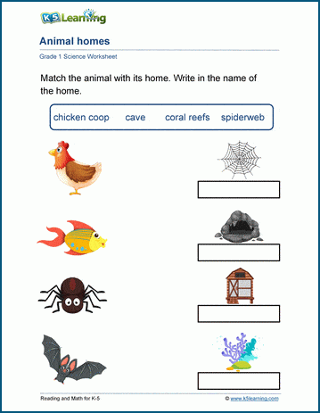 animal home worksheet