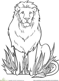 42 Animal kingdom ideas | animal coloring pages, coloring books ...