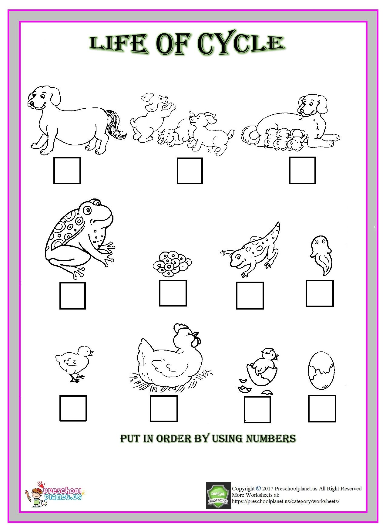 animal life cycle worksheet