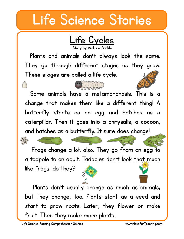 animal life cycles worksheet