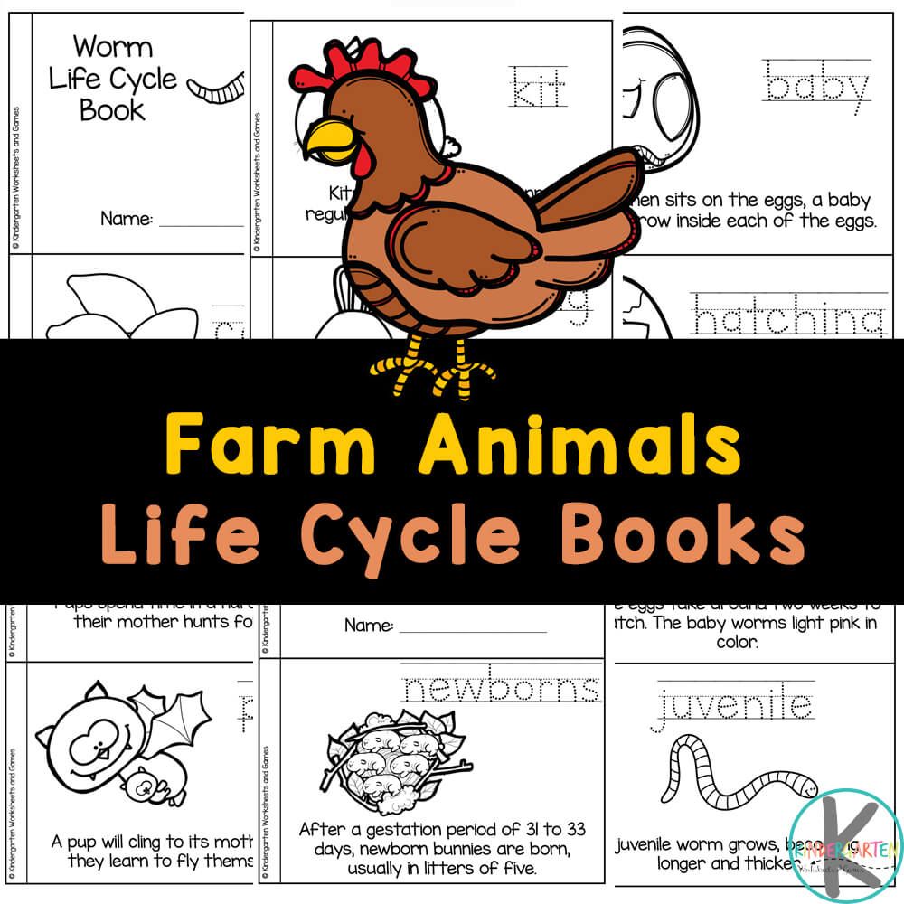 animal life cycles worksheet