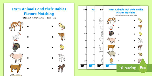 animal matching worksheet