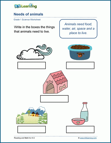 animal needs worksheet 1st grade