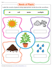 animal needs worksheet 1st grade