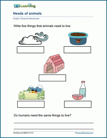 animal needs worksheet 1st grade