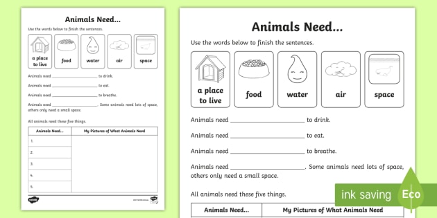 animal needs worksheet 1st grade