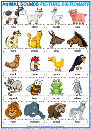 animal onomatopoeia worksheet
