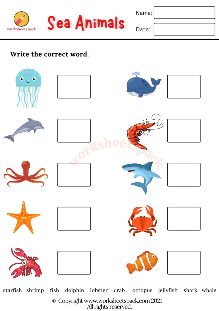 Free Printable Sea Animals Worksheets - worksheetspack