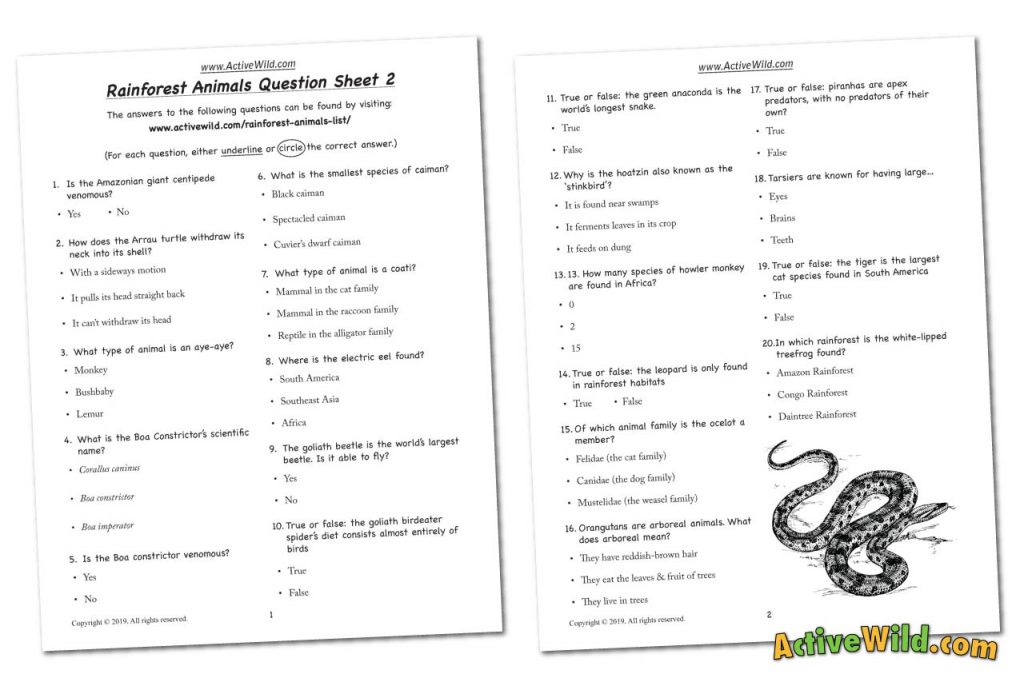 Free Printable Worksheets For Teachers &  Parents - Wildlife And ...