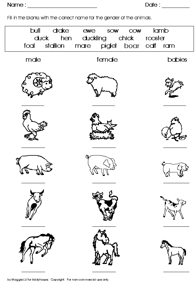 animal printable worksheet