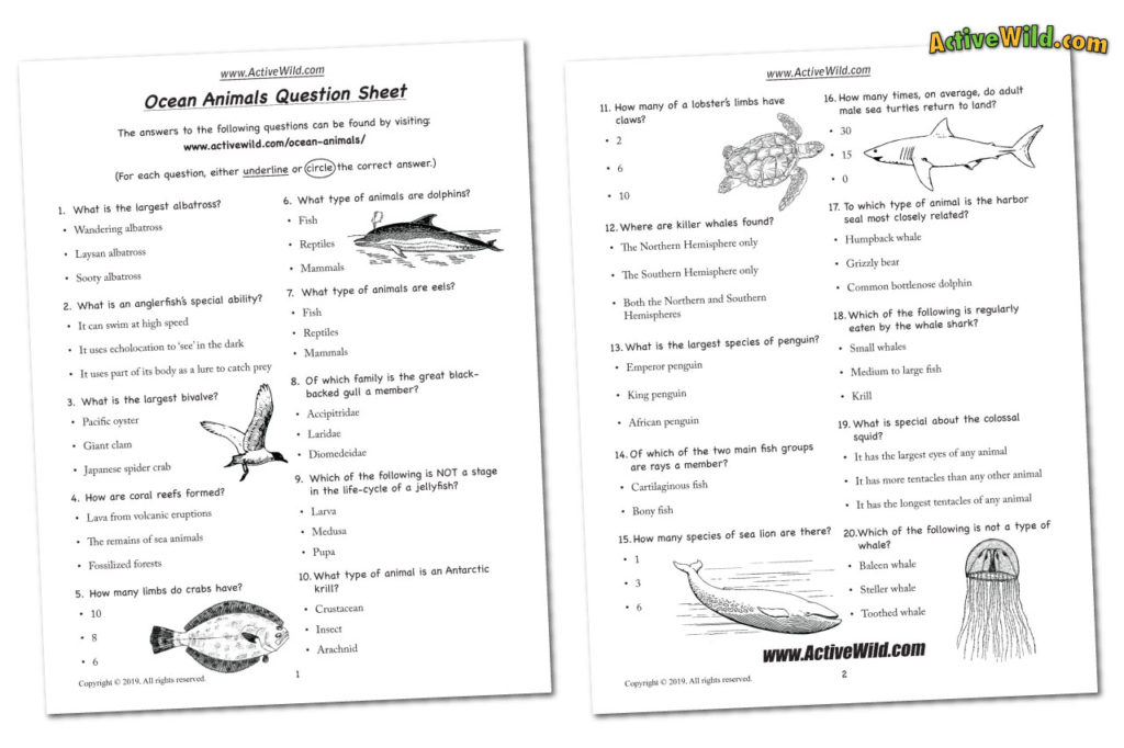 Free Printable Worksheets For Teachers &  Parents - Wildlife And ...