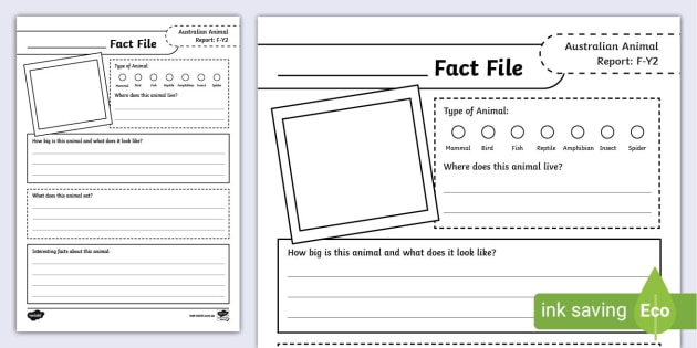 Animal Information Report Template | Science | F-2 - Twinkl