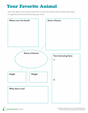 animal research worksheet