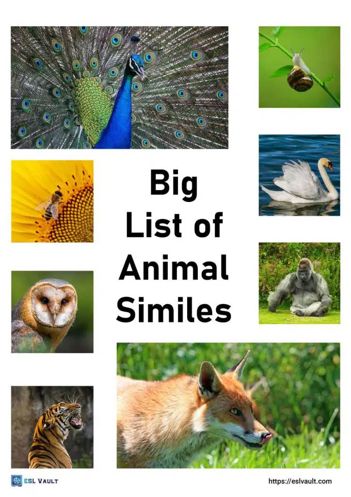 Big list of animal similes - ESL Vault