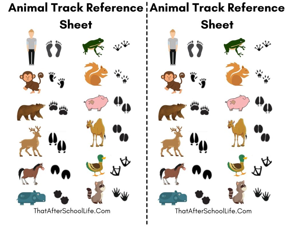 animal-track-memory-matching-game-that-after-school-life-worksheets-library for Free Printable Animal Tracks Matching Game Animal Track Memory Matching Game – That After School Life - Worksheets Library for Free Printable Animal Tracks Matching Game