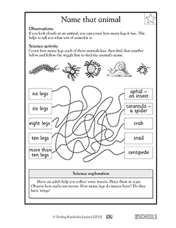 animal worksheet for 2nd grade