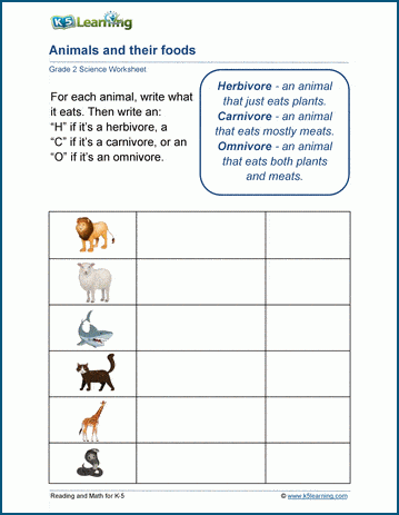 Animal Worksheets for Grade 2 Students | Worsheets library