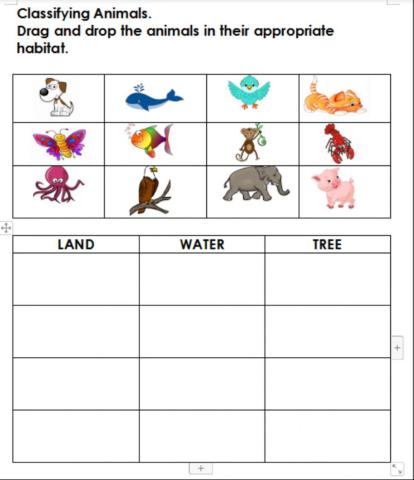 animal worksheet for 2nd grade
